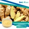 Ginger extract is a popular herbal supplement that is derived from the roots of the ginger plant. It is commonly used as a natural remedy for digestive issues, such as nausea and vomiting.